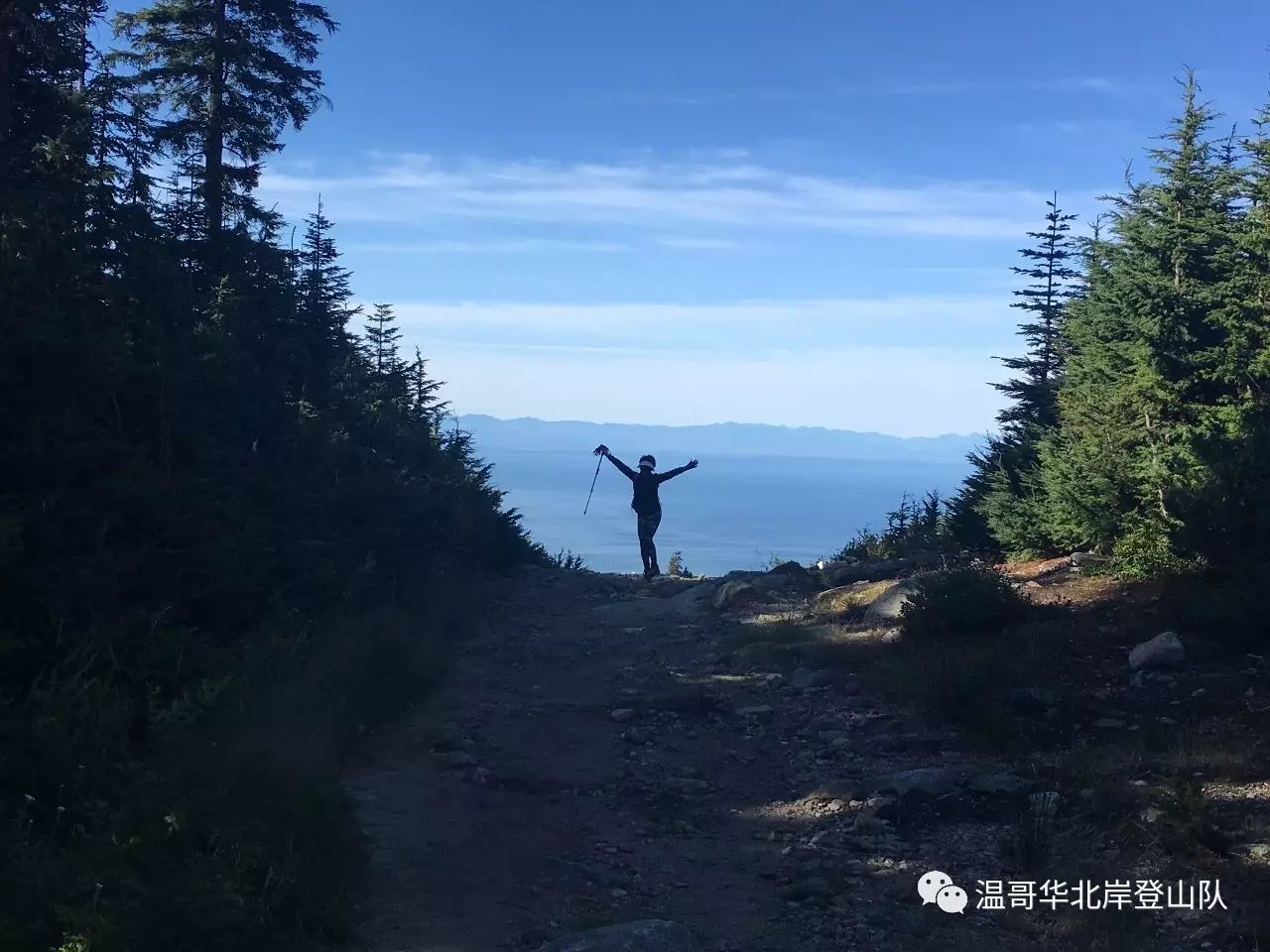 九游游戏-东海暴熊队对阵南城雪豹队，UFC附加赛小胜，细节决定成败——快速转换撕裂防线