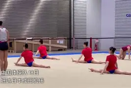 九游官网-体操夜战：关中灰熊队强势横扫祁连貔貅队，速度优势明显本土核心状态回升的简单介绍